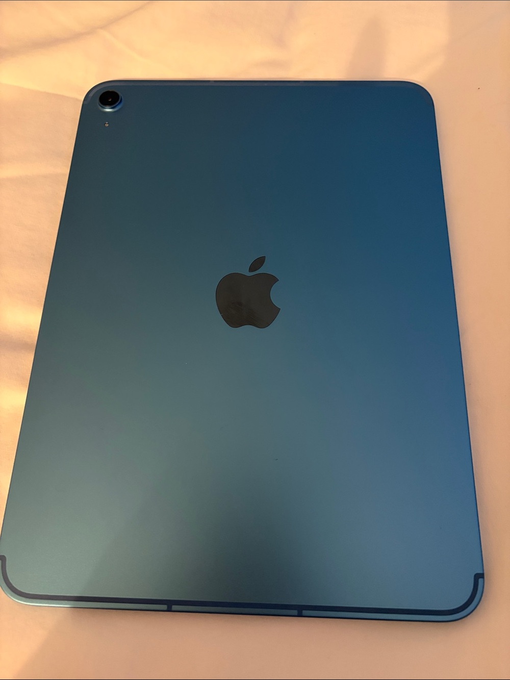 Apple iPad in Blue with Black Apple Logo